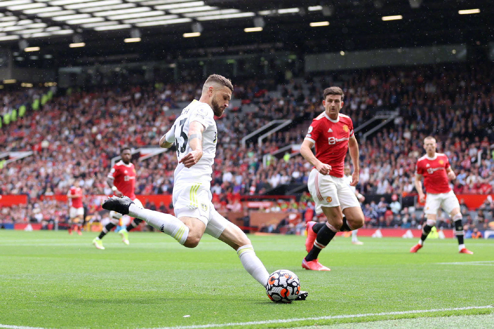 尔的阵容实 尔的阵容实